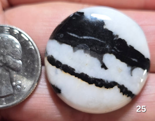 #25 Zebra Jasper