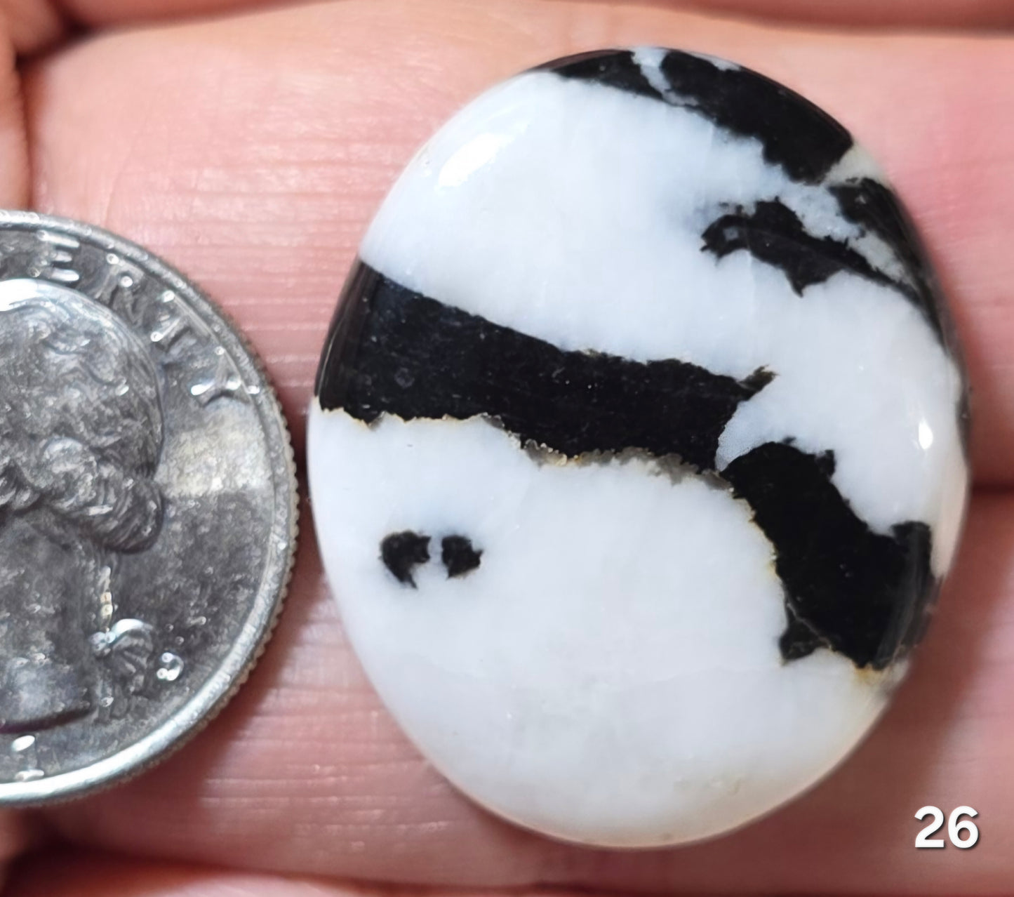 #26 Zebra Jasper