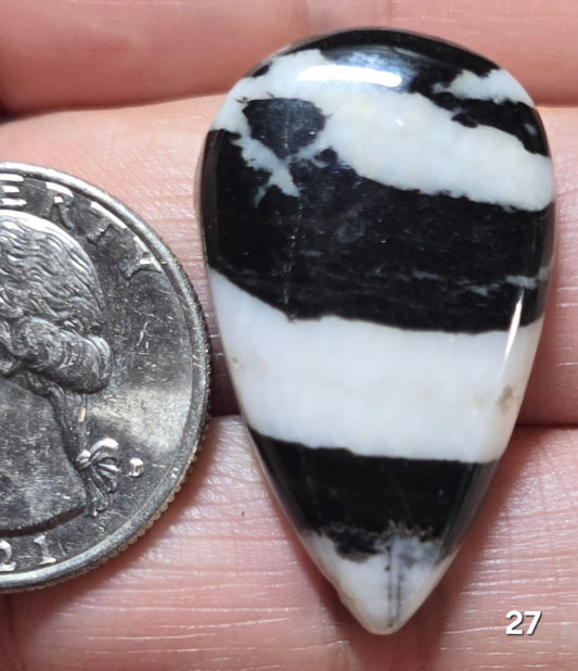 #27 Zebra Jasper