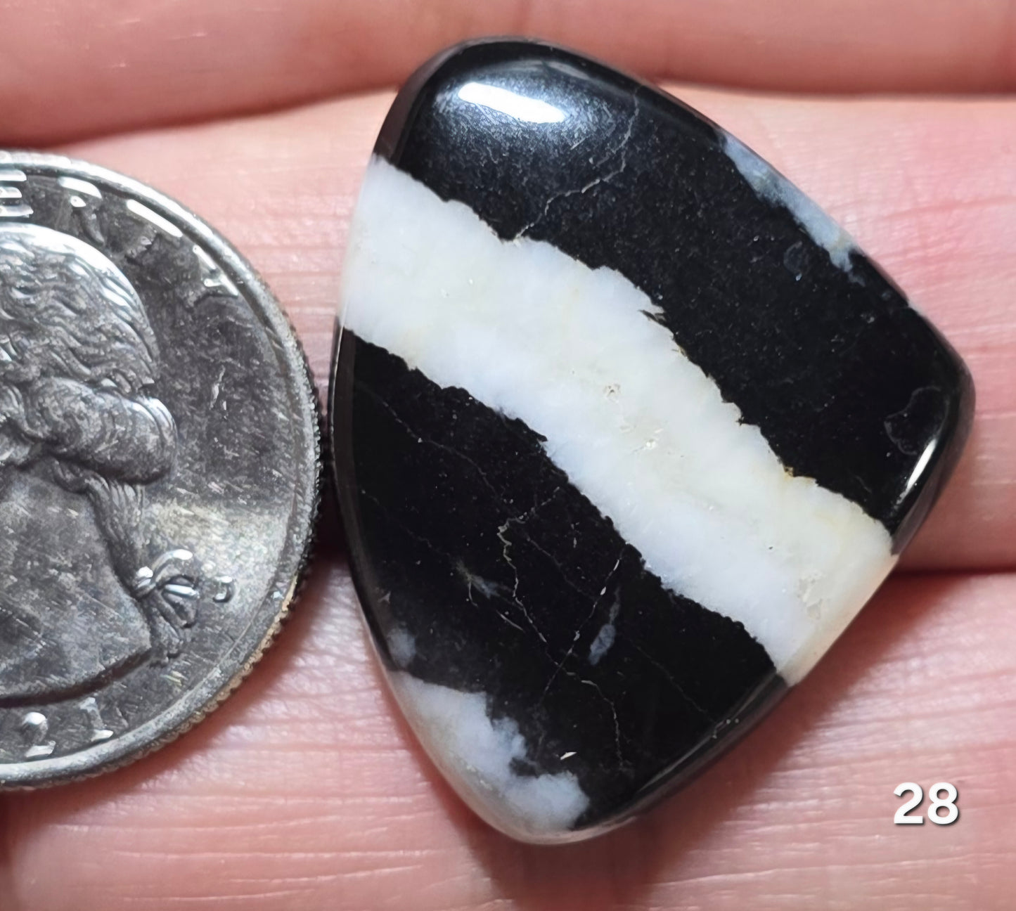 #28 Zebra Jasper