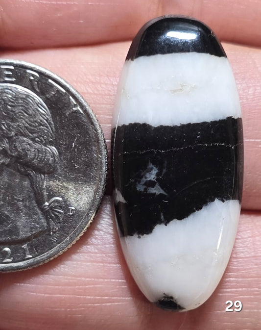 #29 Zebra Jasper