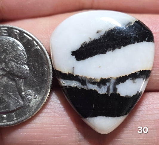 #30 Zebra Jasper