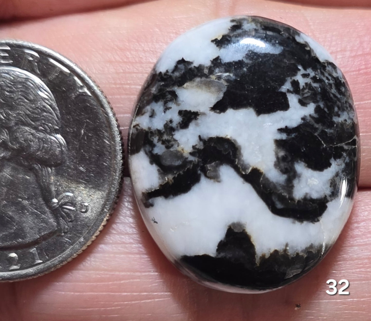 #32 Zebra Jasper