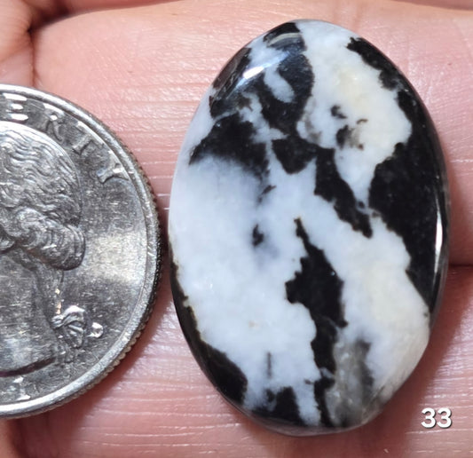 #33 Zebra Jasper