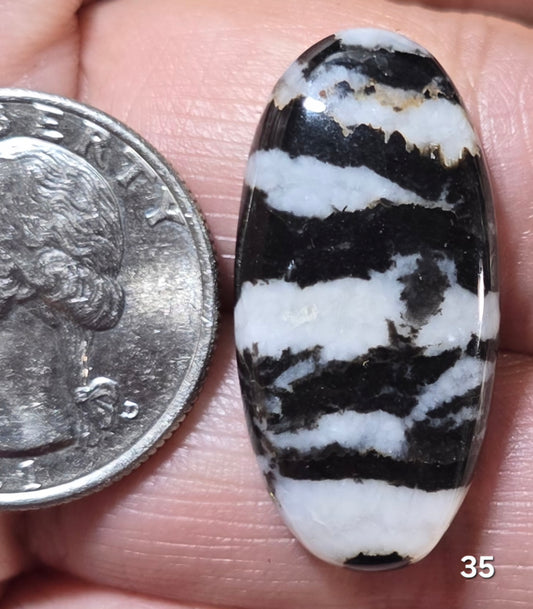 #35 Zebra Jasper