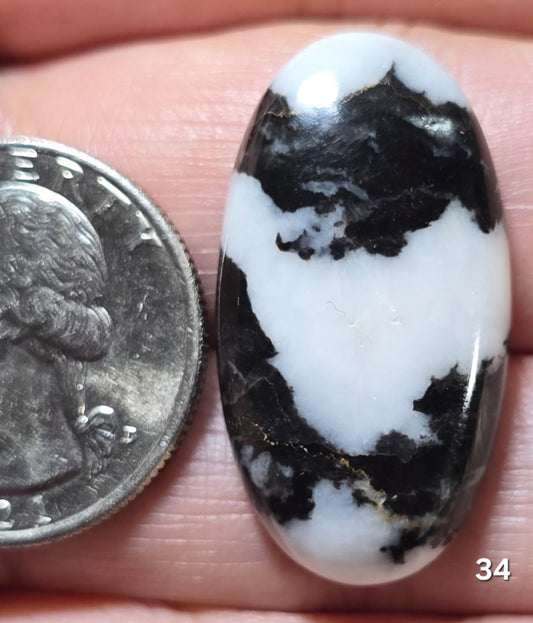 #34 Zebra Jasper