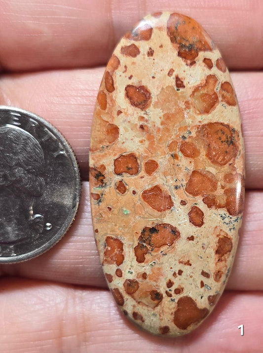 #1 Asteroid Jasper