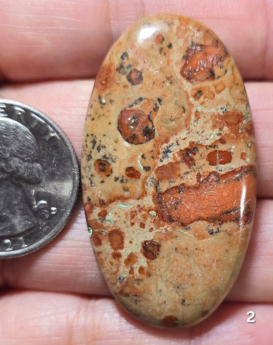 #2 Asteroid Jasper