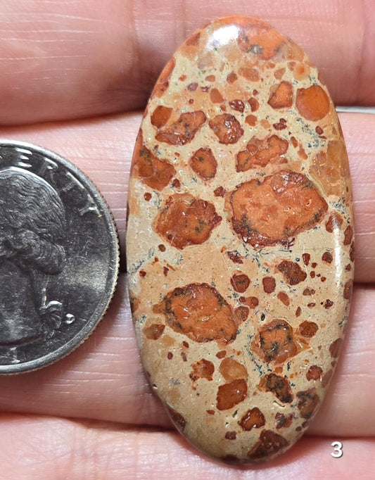 #3 Asteroid Jasper