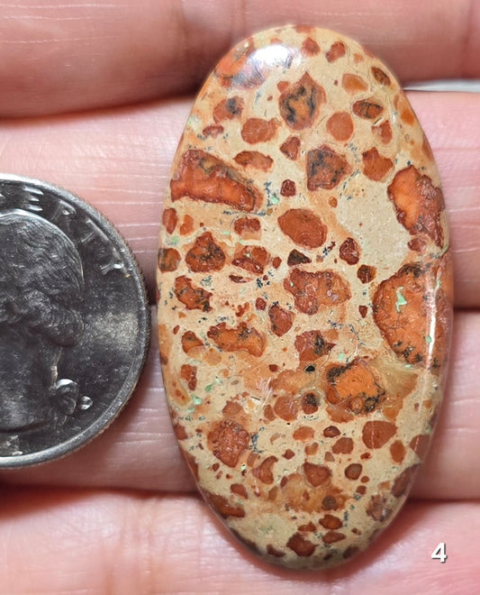 #4 Asteroid Jasper