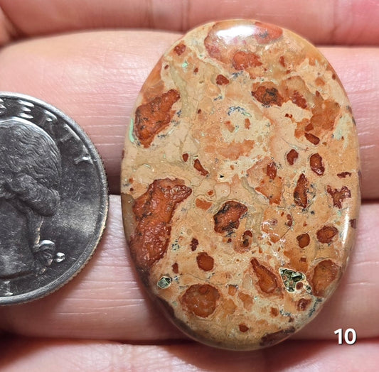 #10 Asteroid Jasper
