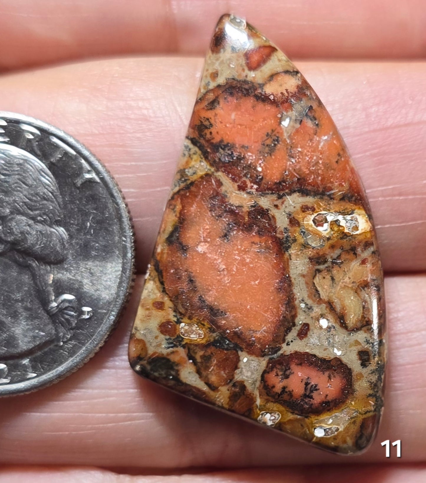 #11 Asteroid Jasper