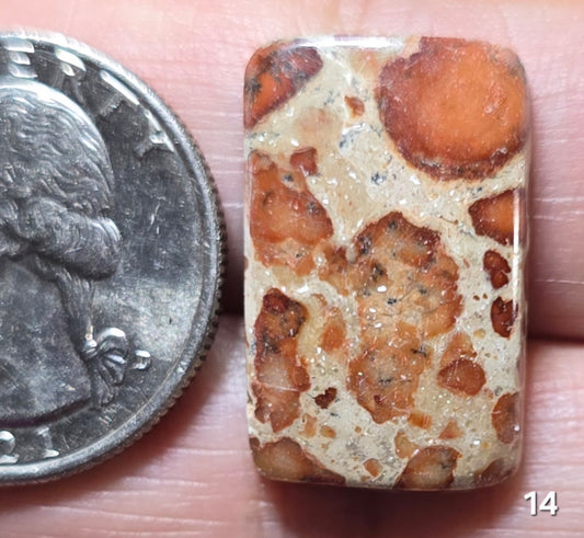 #14 Asteroid Jasper