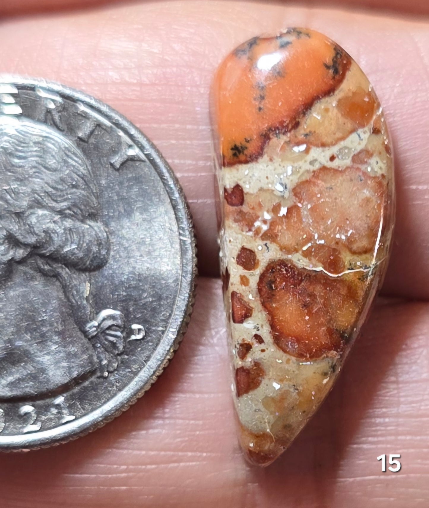 #15 Asteroid Jasper