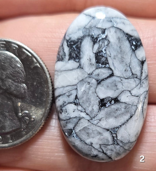 #2 Pinolith Jasper