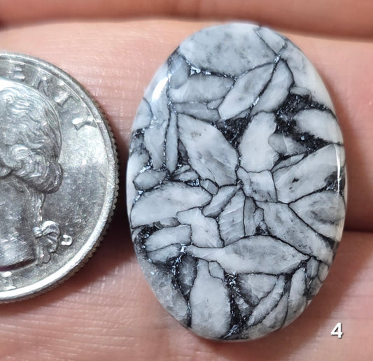 #4 Pinolith Jasper