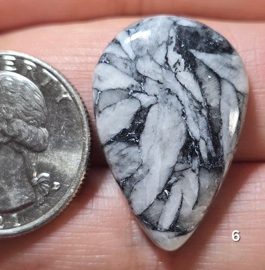 #6 Pinolith Jasper