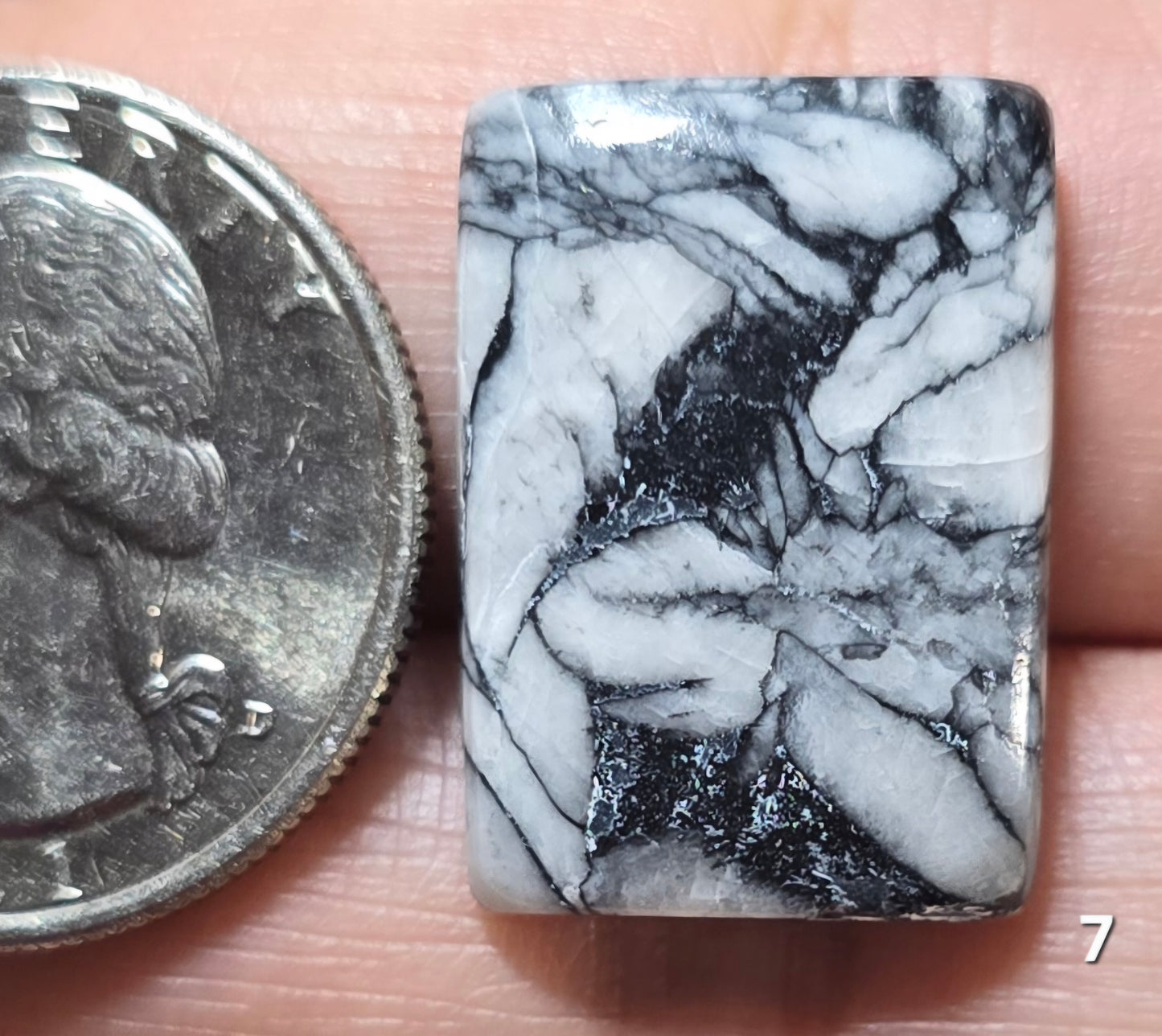 #7 Pinolith Jasper