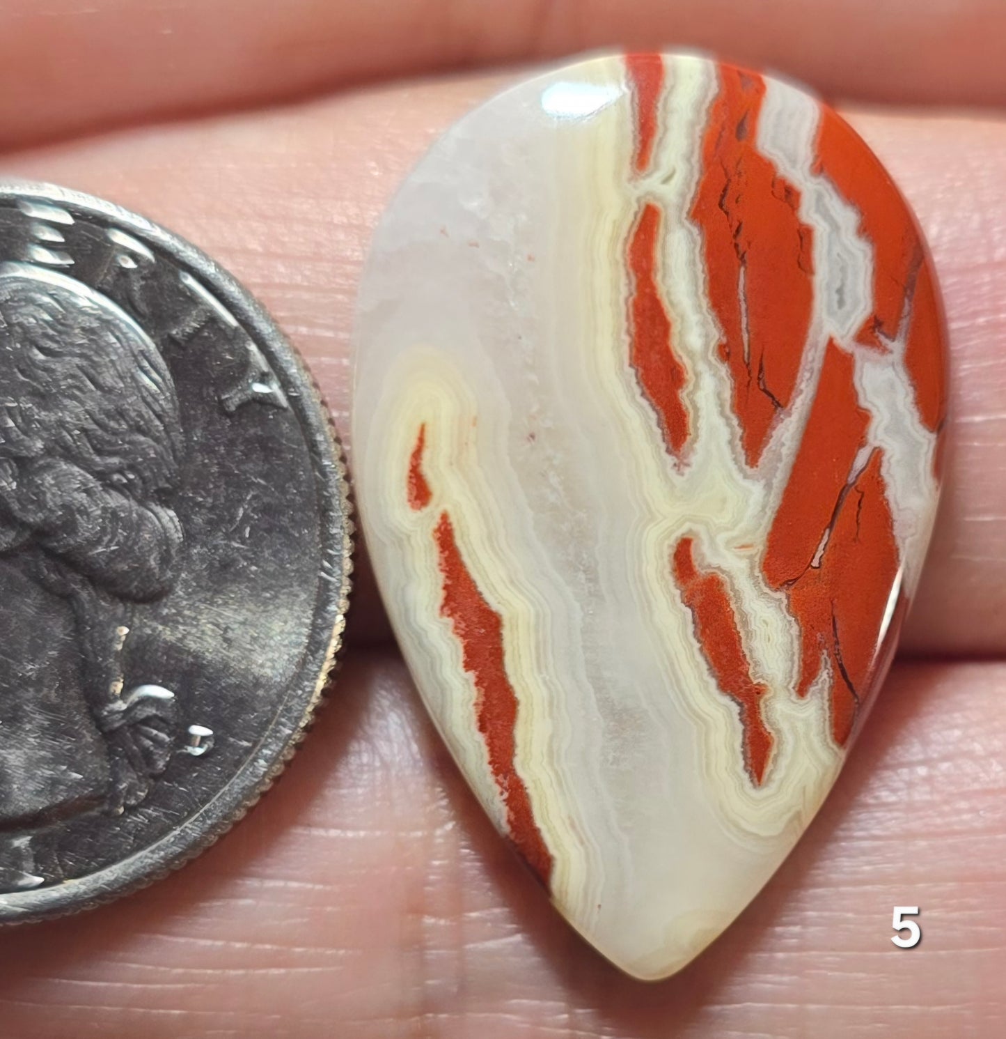 #5 Brecciated Red Jasper