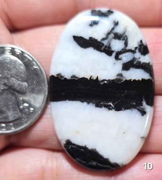 #10 Zebra Jasper