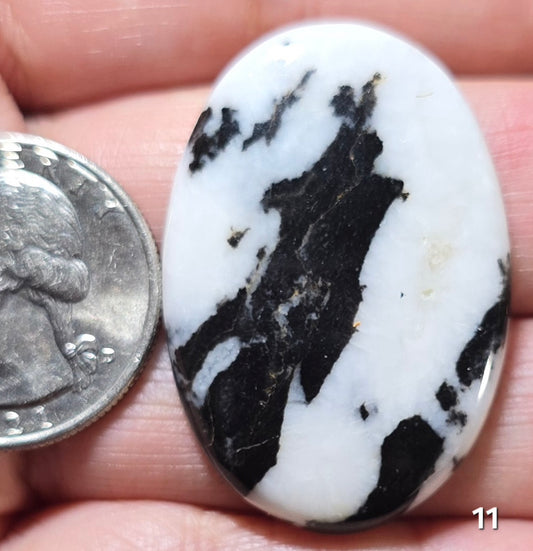 #11 Zebra Jasper