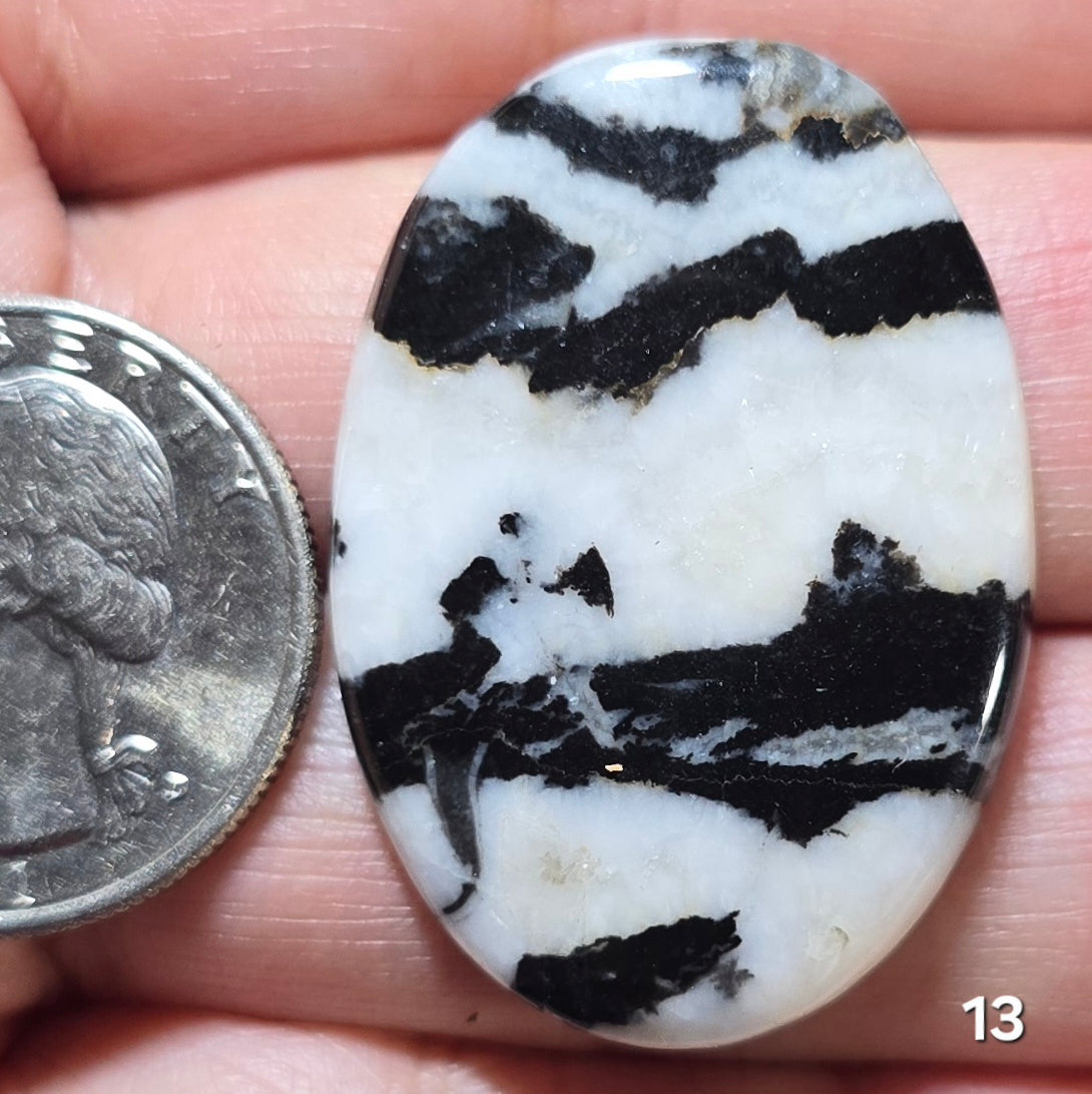#13 Zebra Jasper