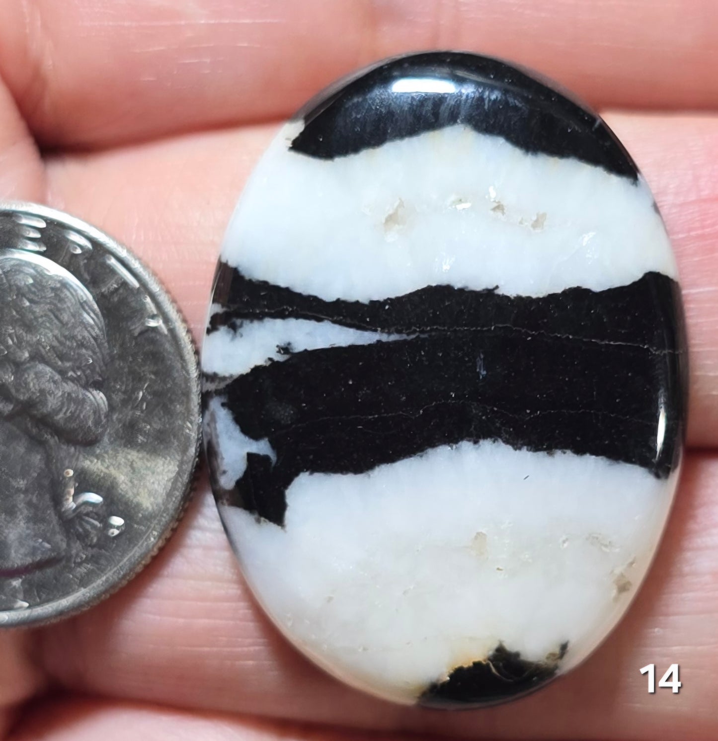#14 Zebra Jasper