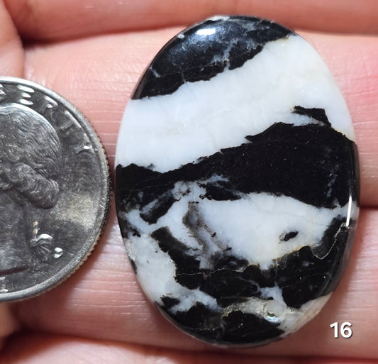 #16 Zebra Jasper
