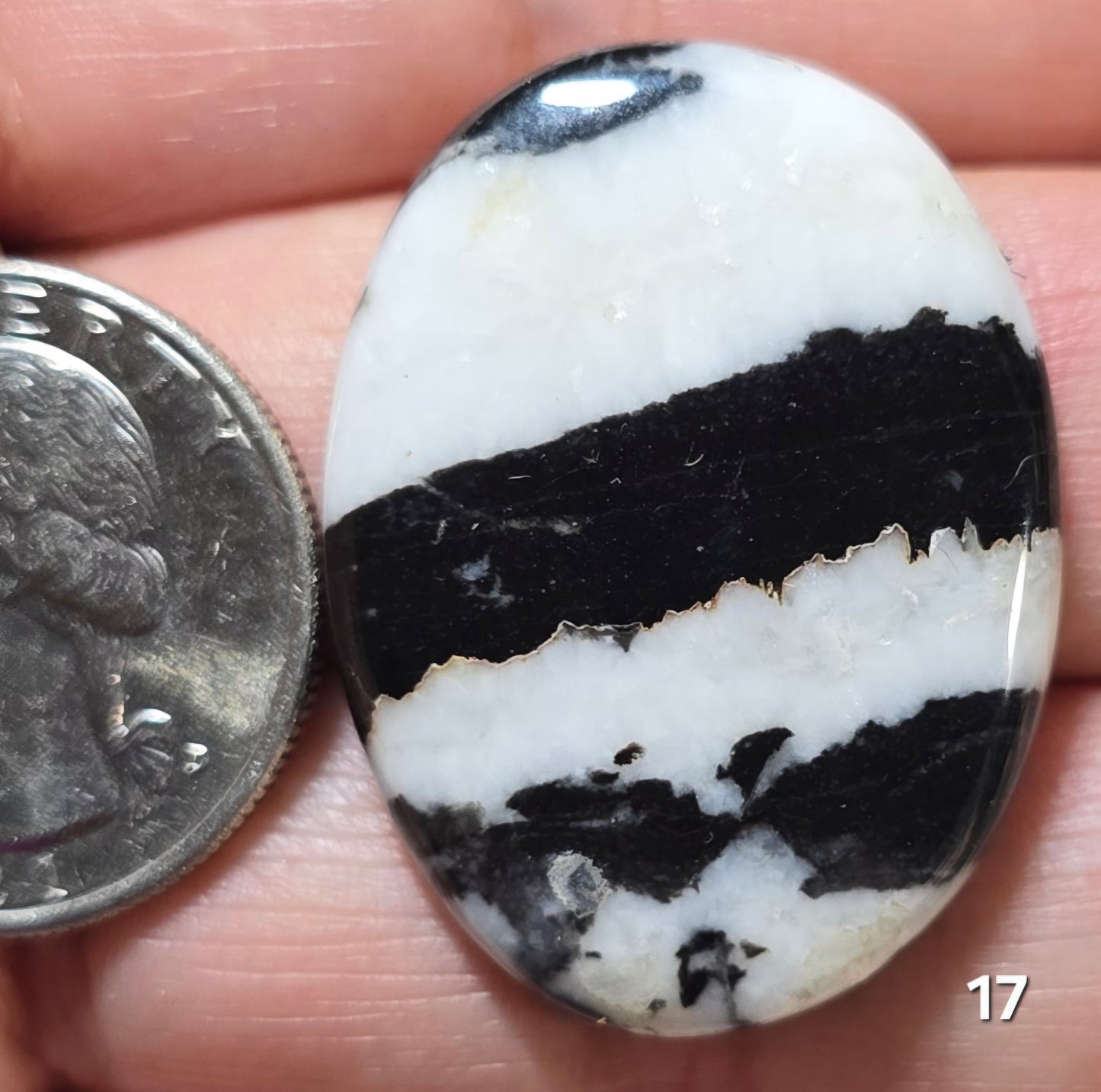 #17 Zebra Jasper