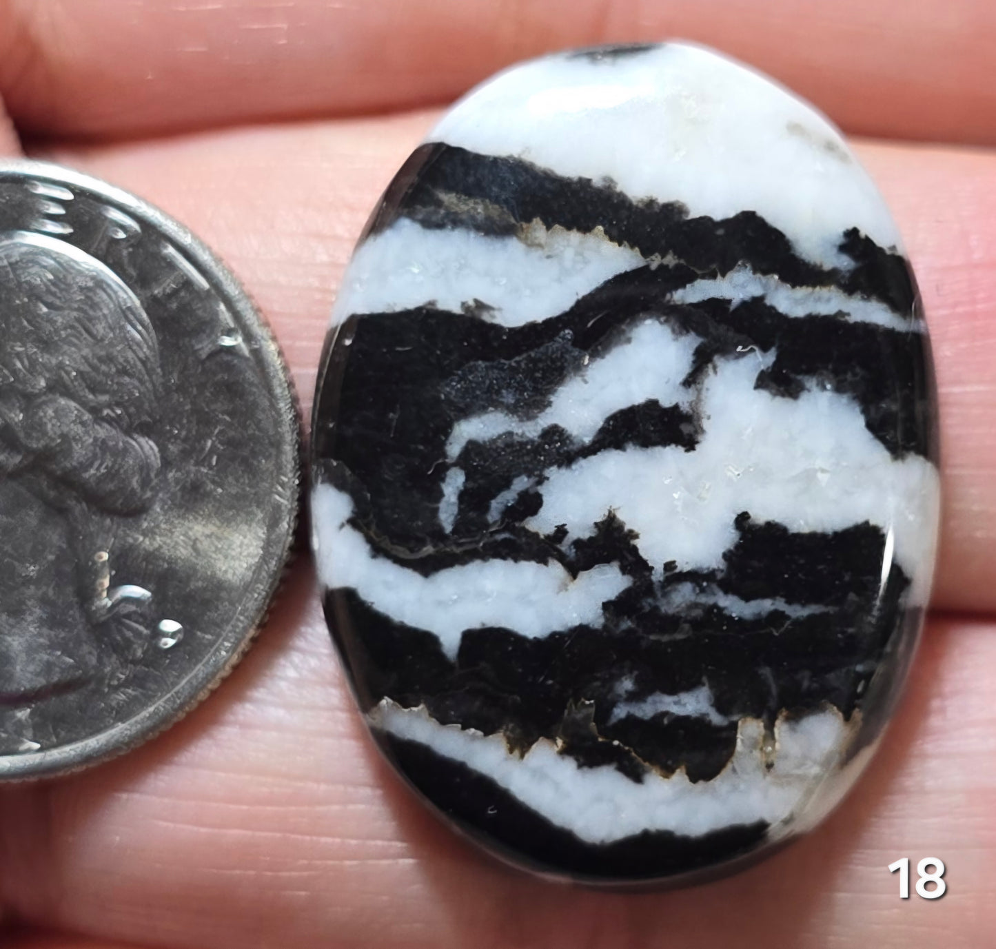 #18 Zebra Jasper