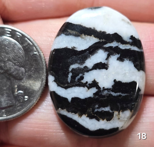 #18 Zebra Jasper