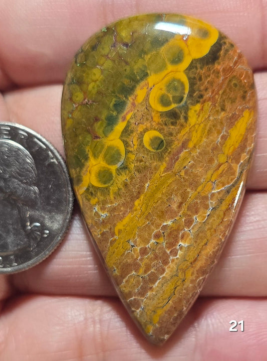 #21 Ocean Jasper