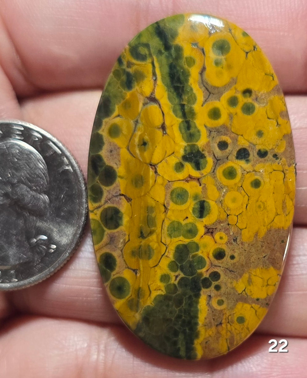 #22 Ocean Jasper