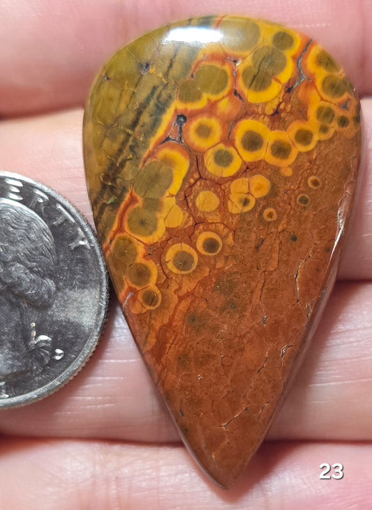 #23 Ocean Jasper