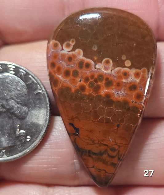 #27 Ocean Jasper