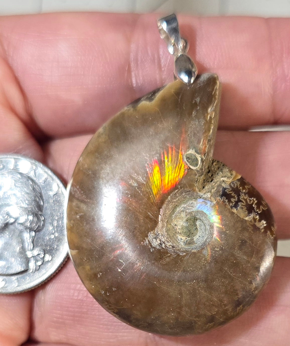 Iridescent Ammonite Fossil Pendant