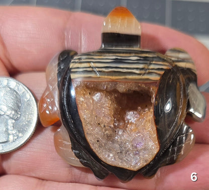 #6 Carnelian Druzy Turtle Carving