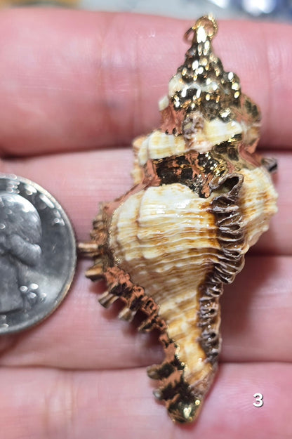 #3 Gold Electroplated Conch Shell