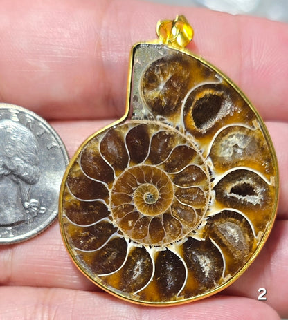 #2 Ammonite Fossil in Gold Pendant