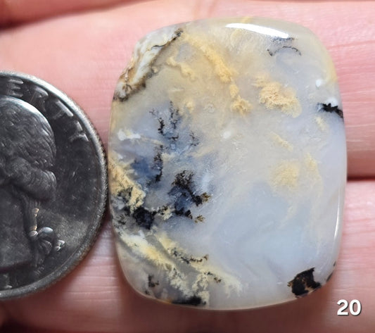 #20 Tiger Dendrite
