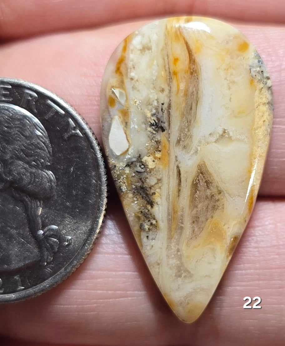 #22 Tiger Dendrite