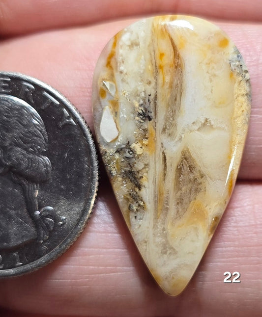 #22 Tiger Dendrite