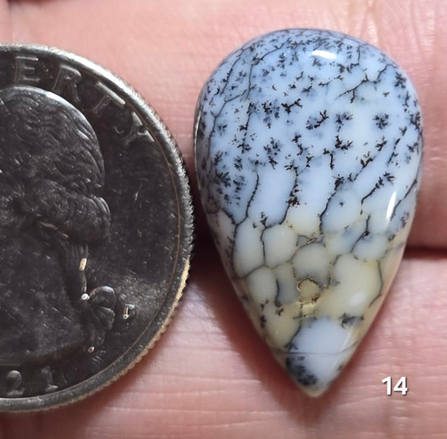 #14 Dendritic Opal