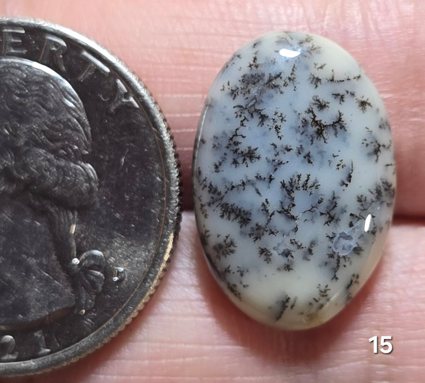 #15 Dendritic Opal