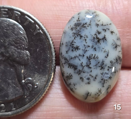 #15 Dendritic Opal