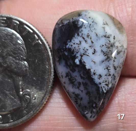 #17 Dendritic Opal
