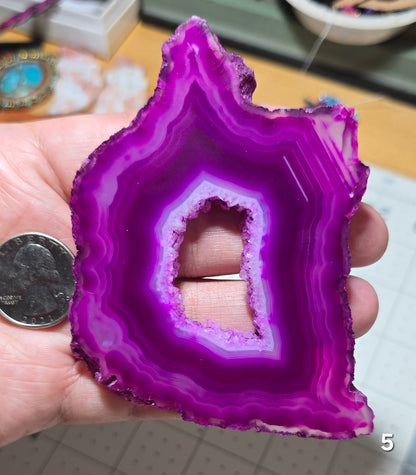 #5 Large Druzy Window Agate Slice (dyed)