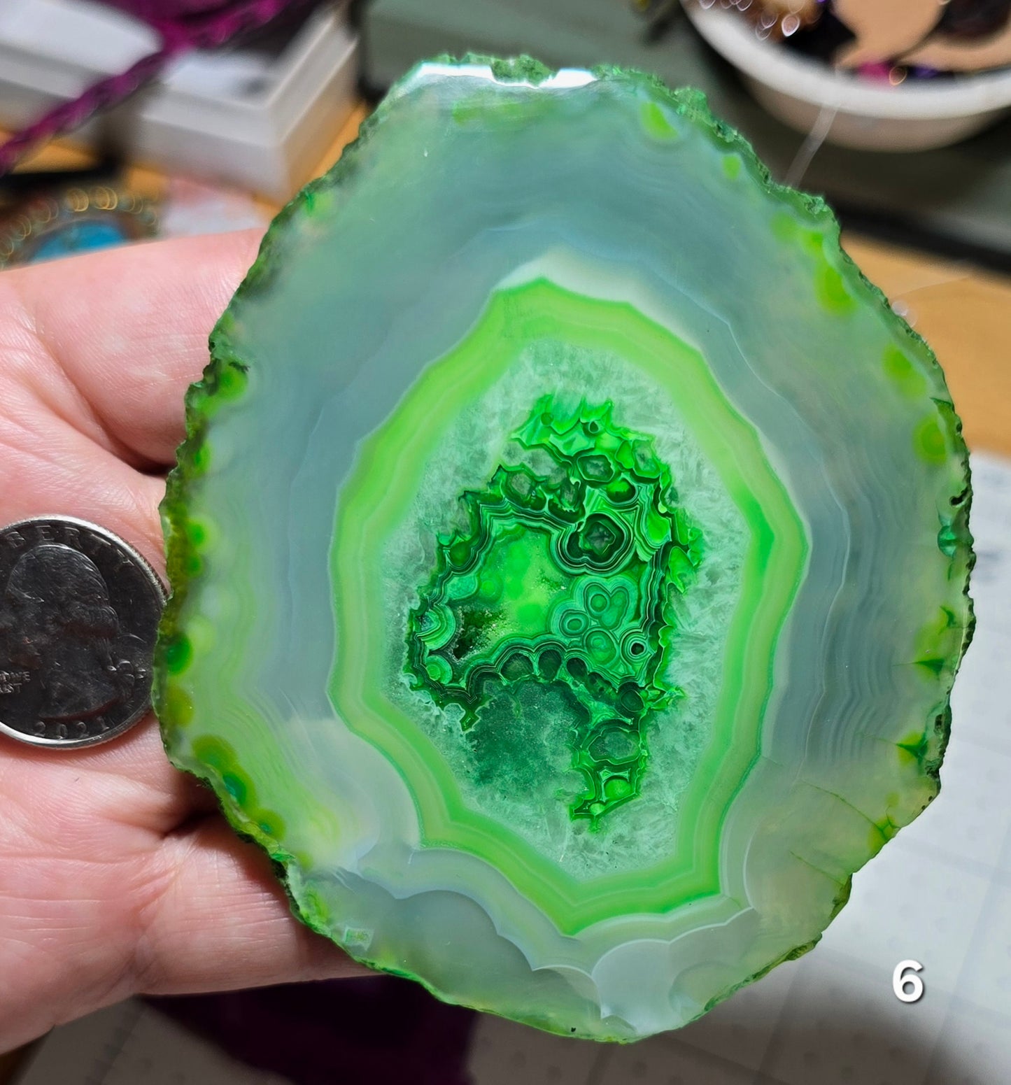 #6 Large Druzy Agate Slice (dyed)