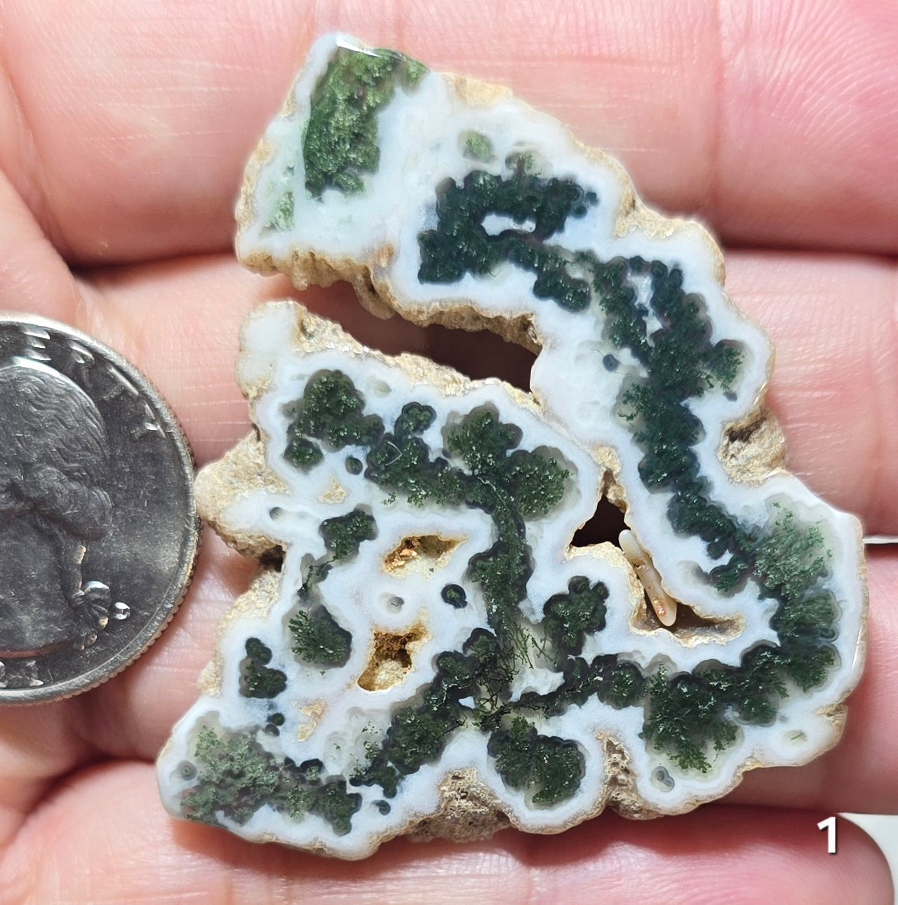 #1 Moss Agate Stalactite Slice