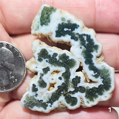 #1 Moss Agate Stalactite Slice